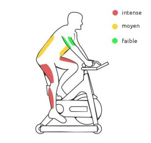 Est-ce que le vélo d'appartement fait perdre du ventre